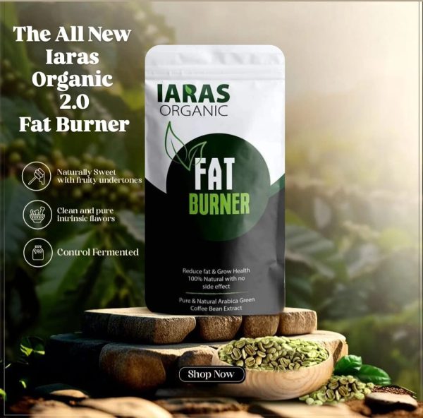 Fat Burner 500 gms - Image 3
